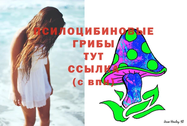трава Балахна