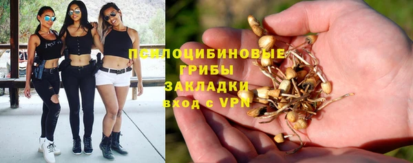 марихуана Баксан