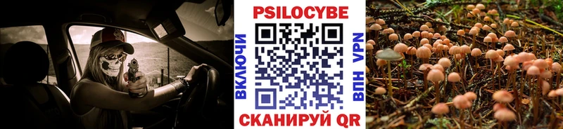 гидра   Спас-Клепики  Псилоцибиновые грибы Magic Shrooms 